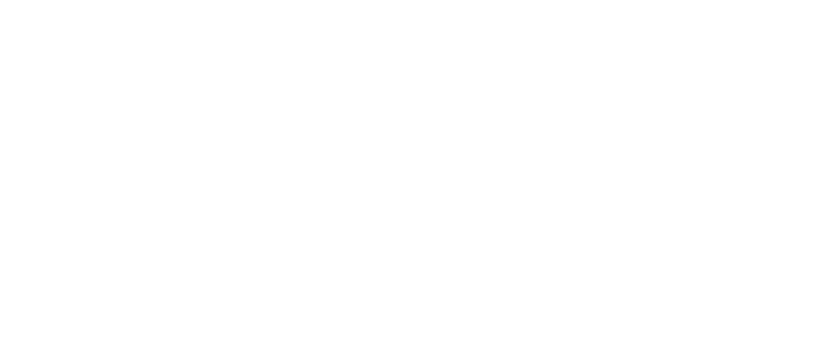 Kinvestor Network Logo