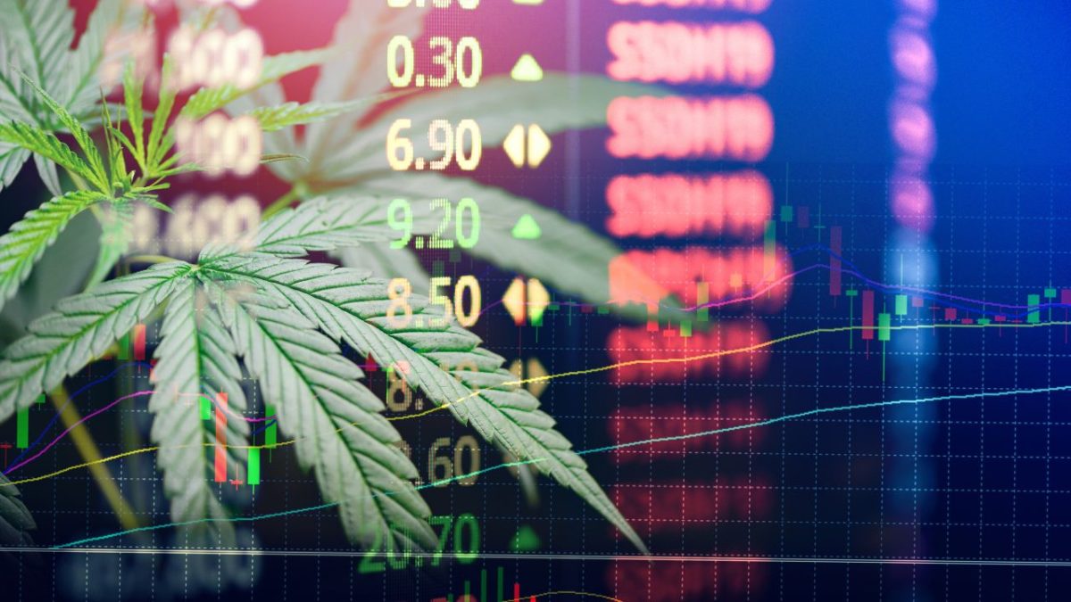 Cannabis Stocks